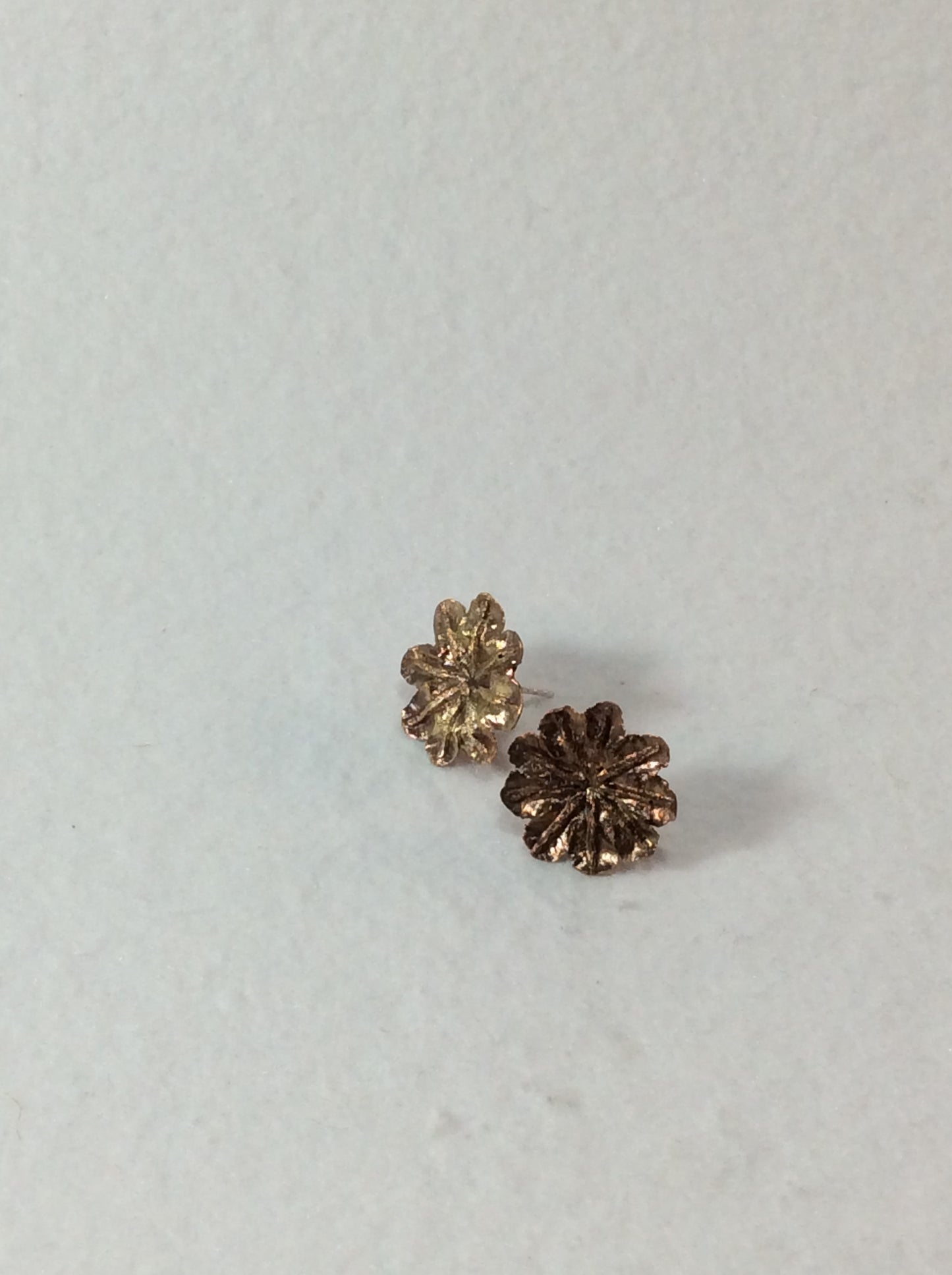 Bronze Cast Flower Pod Earrings